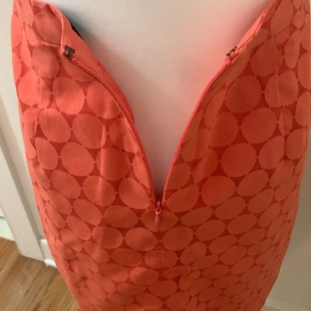 The Limited Skirt - Picture 5 of 5